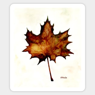 Autumn leaf Sticker